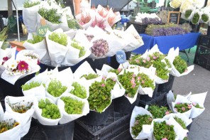 flower markets