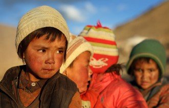 combat desertification