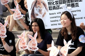 china-animal-testing-cosmetics