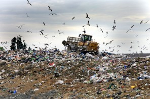 electricity from landfill