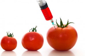 GMOs mislabeling