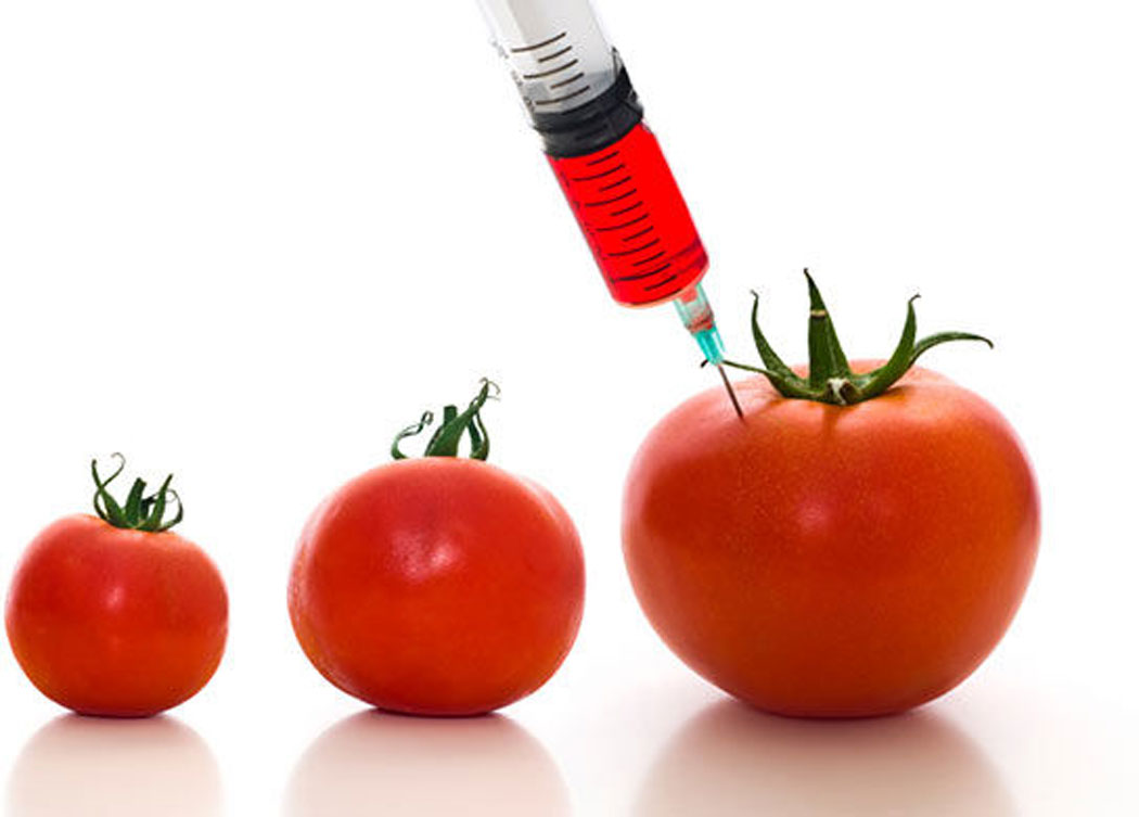 GMOs mislabeling