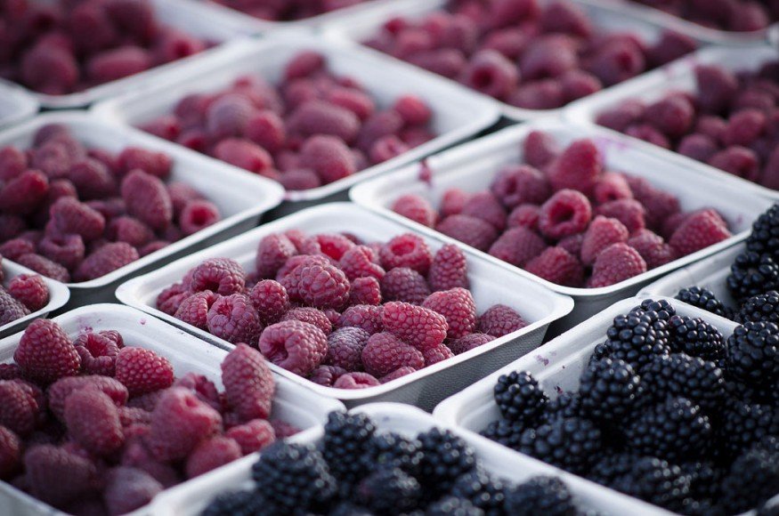 How Berries Can Help You Lose Weight Live Eco