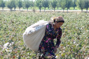 cotton slavery